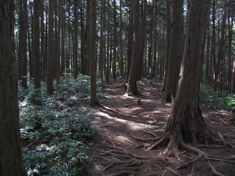 20161007hike (37)